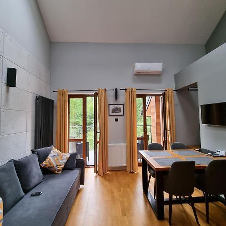 Apartament Dwupoziomowy Z Klimatyzacja Apartamento Krynica-Zdrój Exterior foto